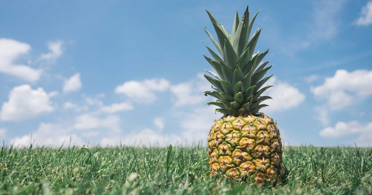 Vendor relationship management